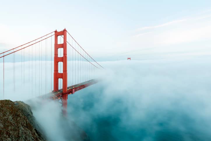 The fog